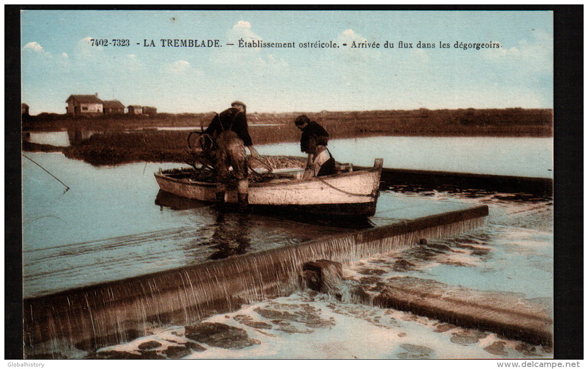 DC1820 - LA TREMBLADE - ÉSTABLISSEMENT OSTRÉICOLE - ARRIVÉE DU FLUX DANS LES DÉGORGEOIRS - La Tremblade