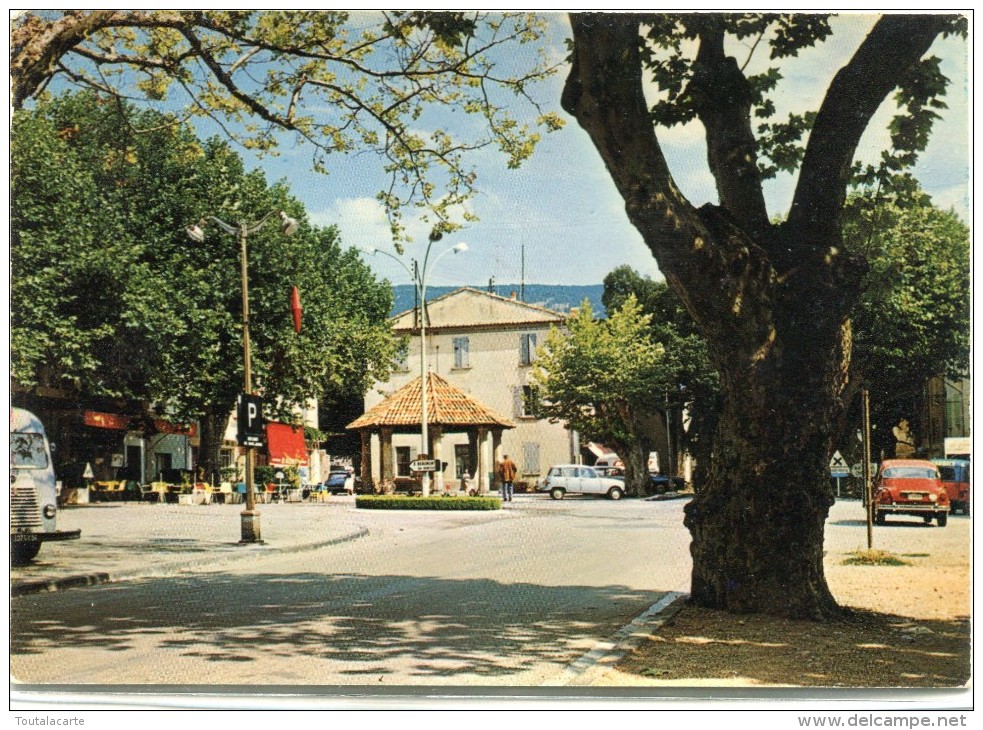 CPSM 84 MALAUCENE LA FONTAINE ET LE COURS 1972 Grand Format 15 X 10,5 - Malaucene