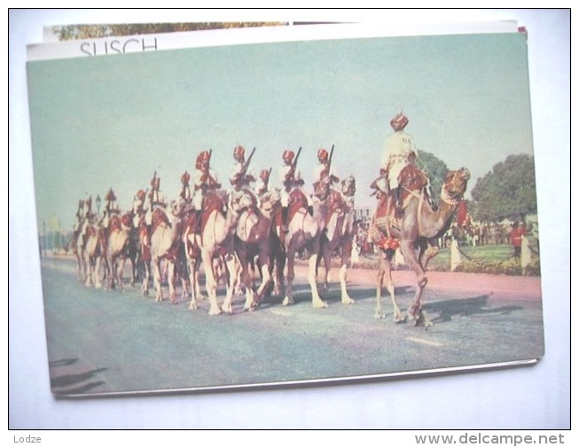 India Camel Ride - India