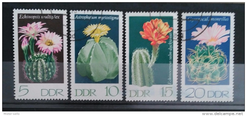 ALEMANIA DDR. CACTUS. DEFECTUOSOS. USADO - USED. - Cactus