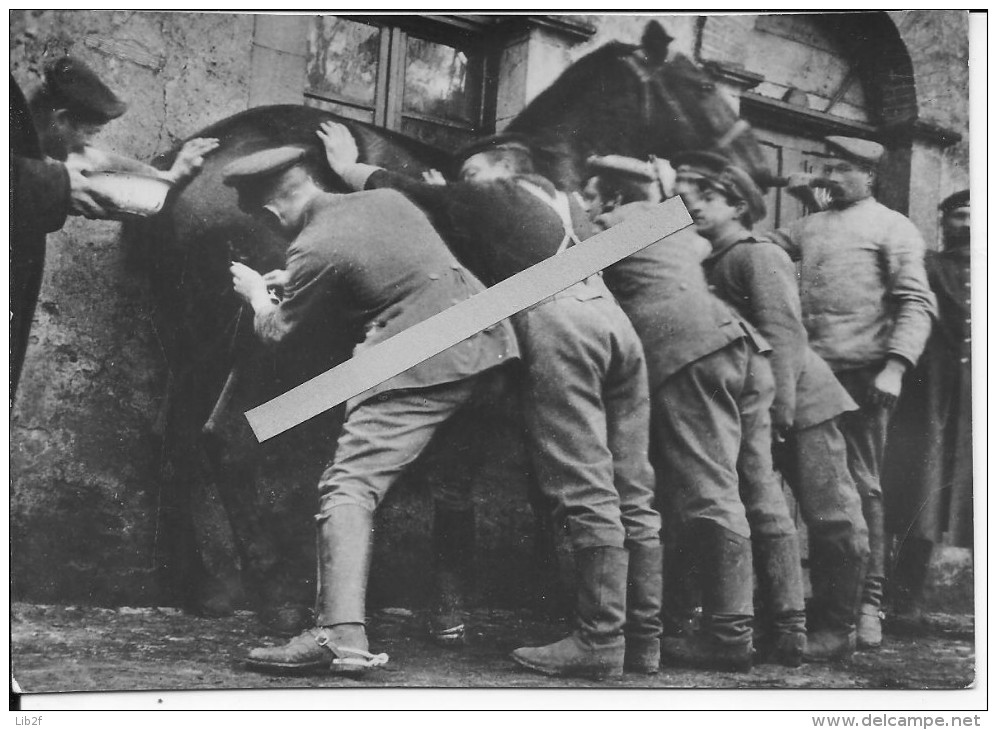 Cavalerie Allemande Soldats Des Services Vétérinaires S'occupant D'un Cheval 1 Photo Allemande 1914-1918 14-18 Ww1 Wk1 - War, Military