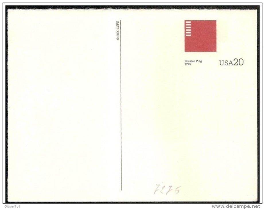 Stati Uniti/États-Unis/United States: Intero, Stationery, Entier, Evoluzione Della Bandiera USA, Evolution Of USA Flag, - Enveloppes