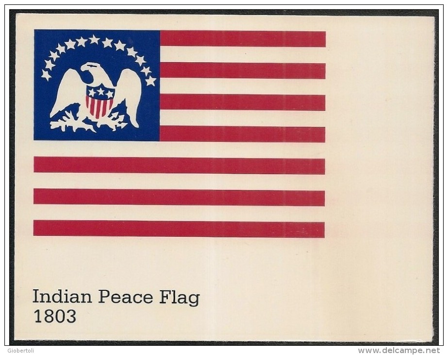 Stati Uniti/États-Unis/United States: Intero, Stationery, Entier, Evoluzione Della Bandiera USA, Evolution Of USA Flag, - Buste