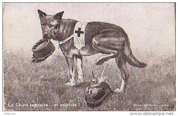 Militaria   99            Croix Rouge. Le Chien Sanitaire Et Patriote ! - Autres & Non Classés