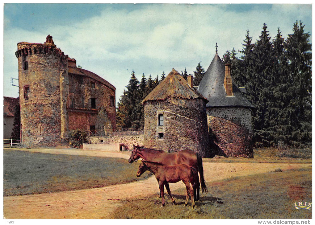 Pompadour Domaine De La Rivière Théojac 19 174 - Arnac Pompadour