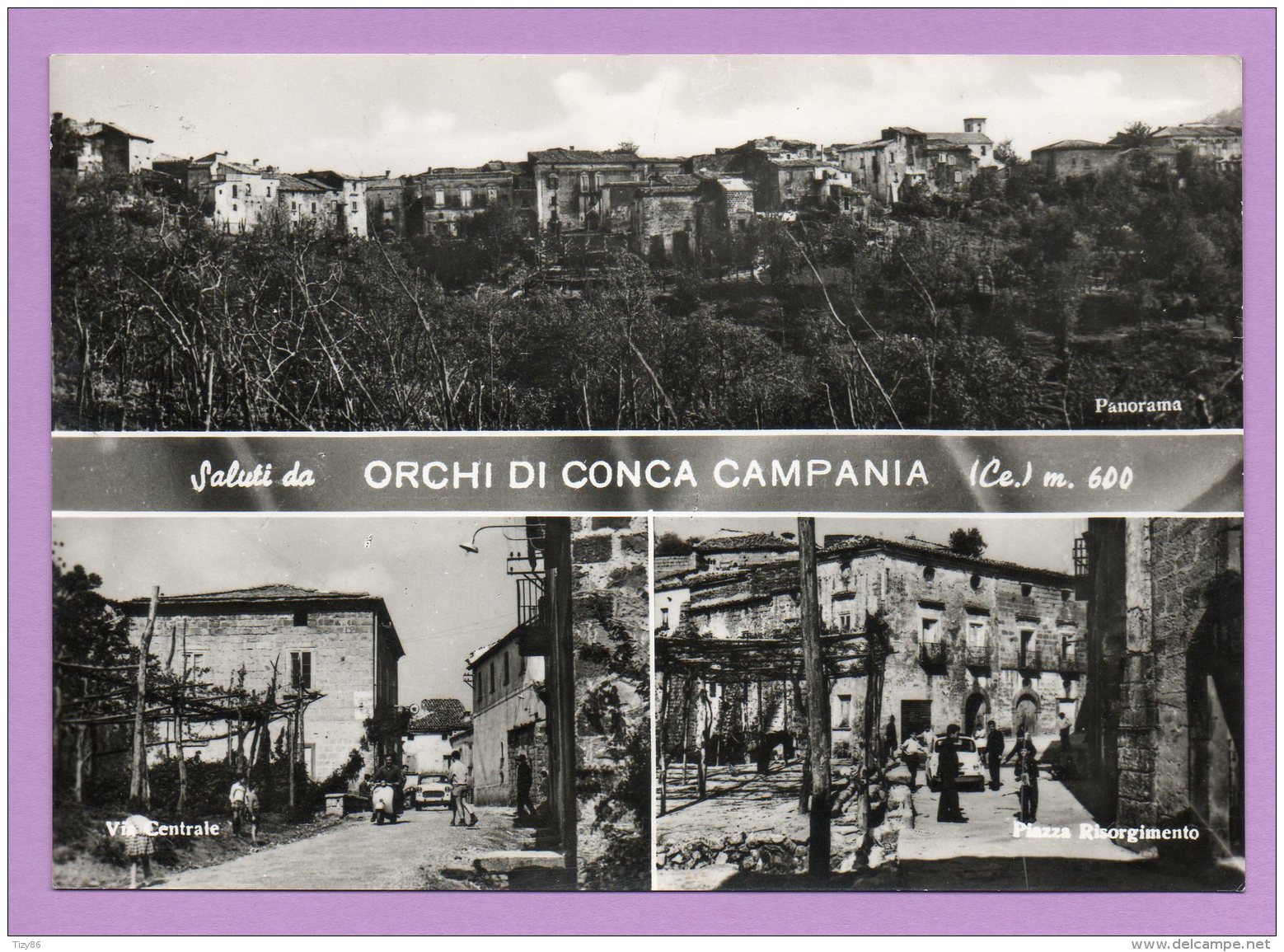 Saluti Da Orchi Di Conca Campania - Caserta