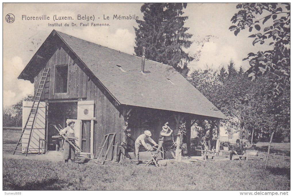 Florenville - Le Mémabile - Institut Du Dr Paul Famenne (belle Animation, Bois, 1913) - Florenville