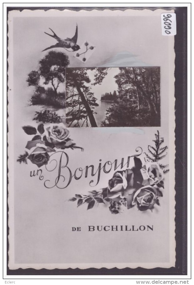 DISTRICT DE MORGES /// UN BONJOUR DE BUCHILLON - PHOTO COLLEE ET RETOUCHE MAIN ( EPREUVE ) - TB - Buchillon