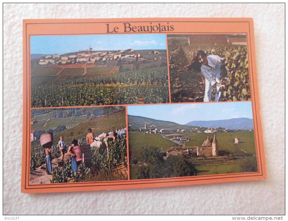 LE BEAUJOLAIS..MULTI VUES ...FLEURIE...CERCIE ET VENDANGEURS ... - Autres & Non Classés