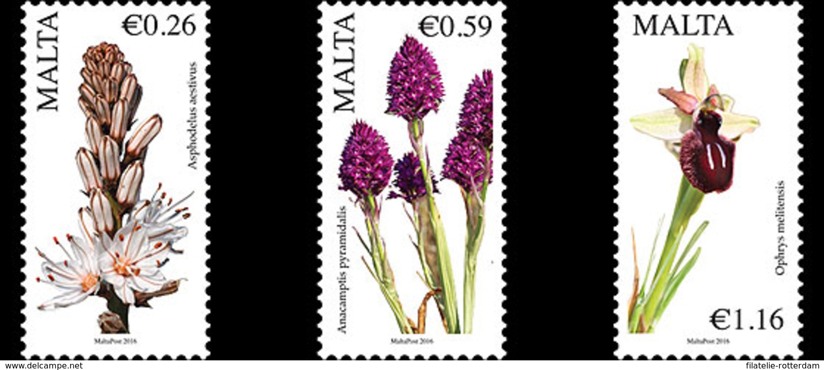 Malta / Malte - Postfris / MNH - Complete Set Bloemen 2016 NEW!! - Malta