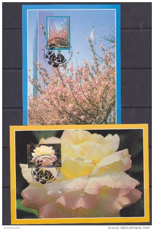 United Nations New York 1977 Definitives / Flowers 2v Maxicards (30819) - Cartoline Maximum