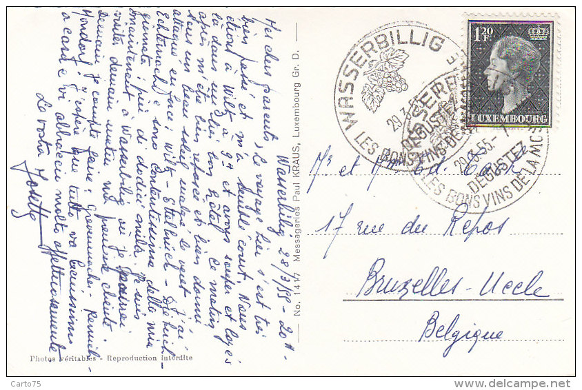 Luxembourg - Diekirch - Bonjour - 1955 - Diekirch