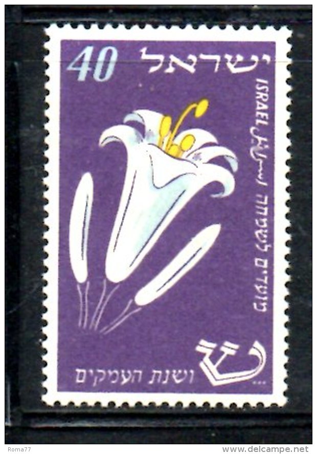 XP185 - ISRAELE ,  Yvert N. 59  ***  MNH - Nuevos (sin Tab)