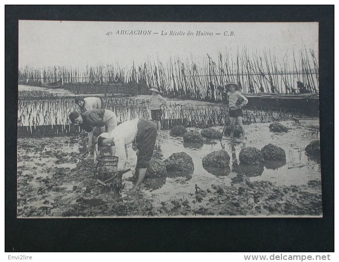 Ref5304 NIK CPA Animée De Arcachon - La Récolte Des Huitres - CB N°40 - Phototypie Ch. Chambon - Arcachon