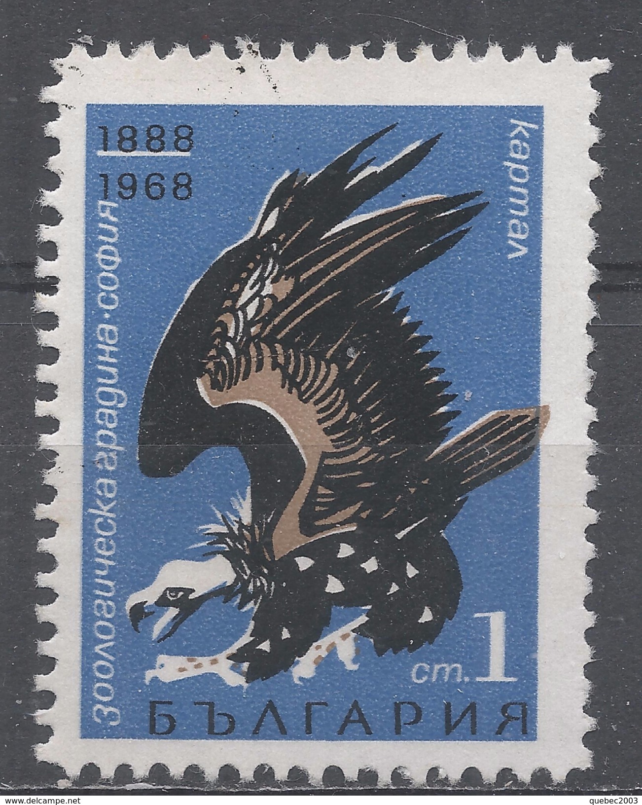Bulgaria 1968. Scott #1689 (U) Sofia Zoo, 80th Anniv. Cinereous Vulture - Gebraucht