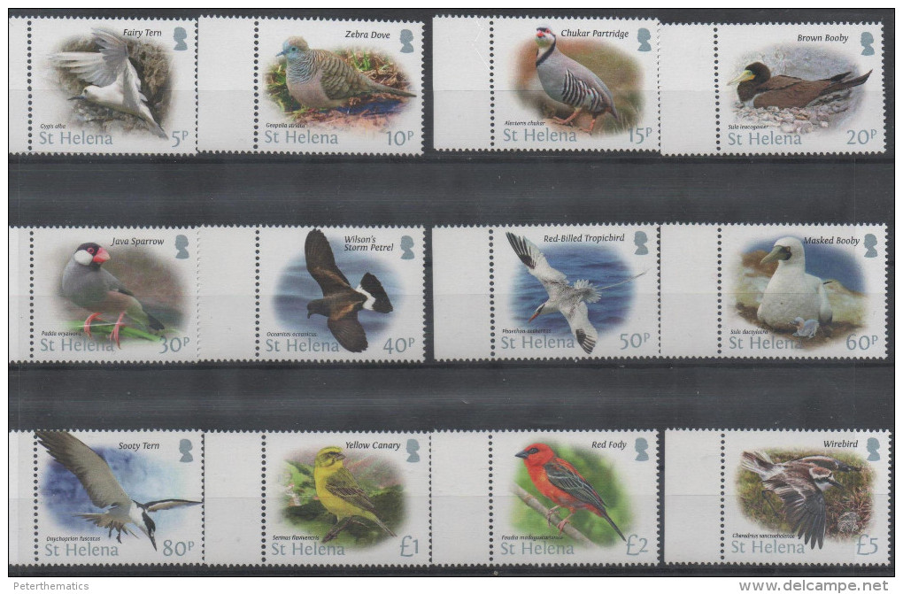 ST. HELENA, 2016, MNH, BIRDS , DEFINITIVES, 12v - Other & Unclassified