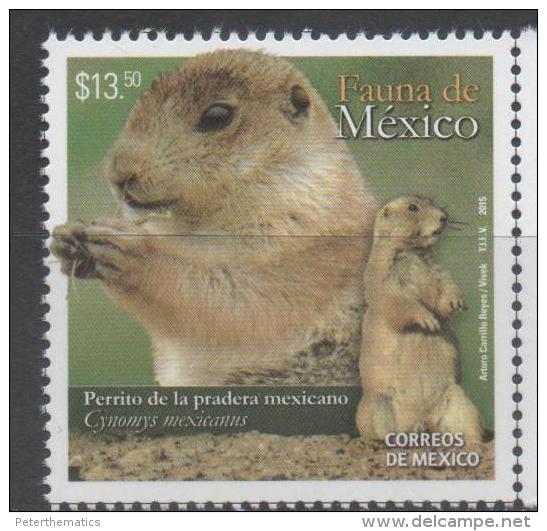 MEXICO, 2015, MNH, FAUNA, PRAIRIE DOG, 1v - Rodents