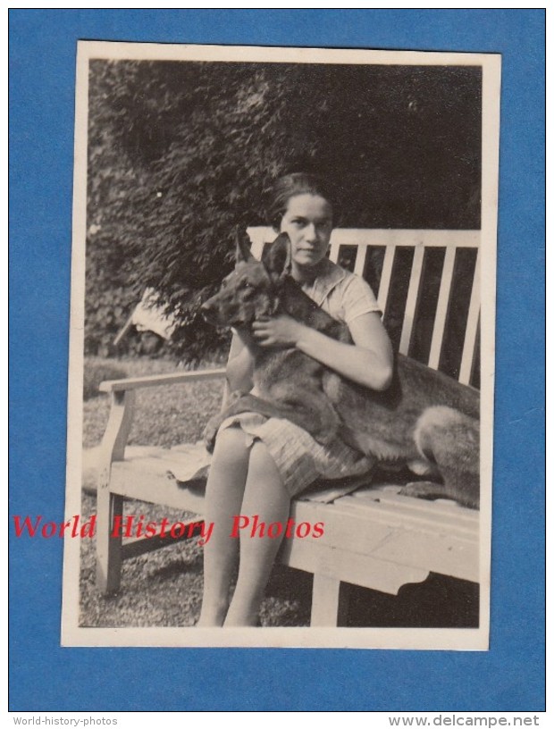 Photo Ancienne - Portrait D'une Jeune Fille & Son Beau Chien - Girl Dog Hund - Race à Identifier - Pose Mode Vintage - Non Classés