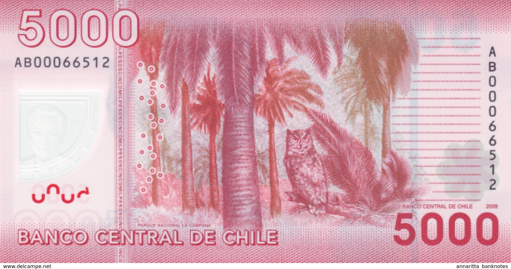 CHILE 5000 PESOS 2009 P-163a UNC [CL298a] - Chile