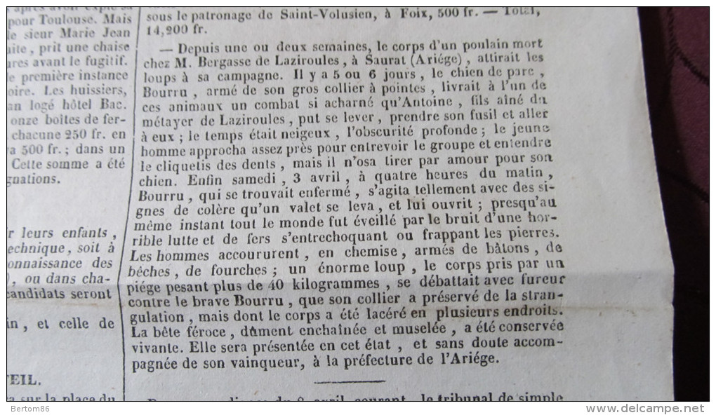 LOUPS EN ARIEGE - SAURAT - BERGASSE De LAZIROULES - COMBAT D'UN CHIEN ET D'UN LOUP - JOURNAL DE TOULOUSE 1847. - 1800 - 1849