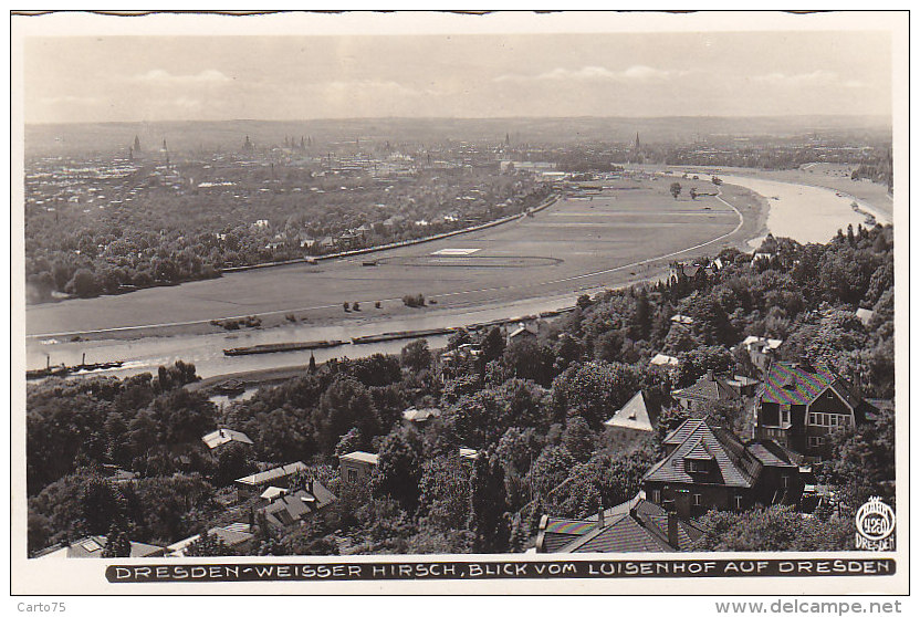 Allemagne - Dresden - Weisser Hirsch - Blick Vom Luisenhof Auf Dresden - Dresden