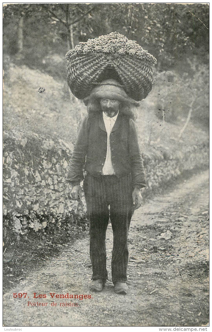 LES VENDANGES PORTEUR DE RAISINS - Vignes