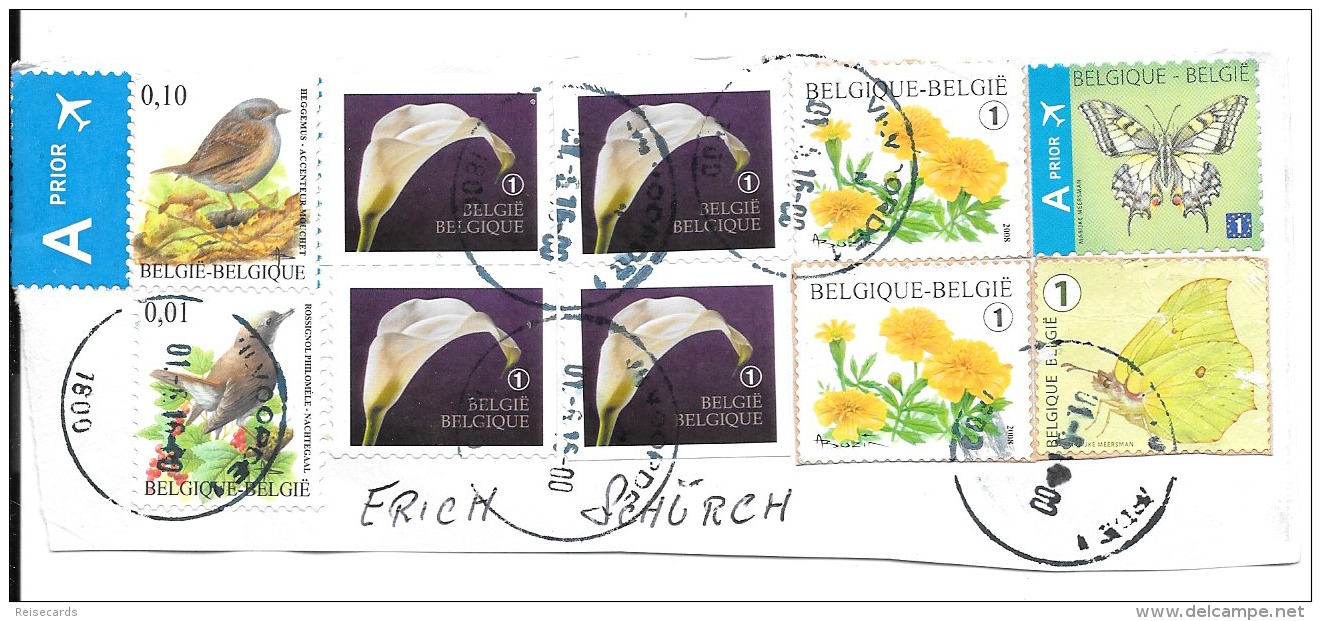 Belgien: Vögel - Schmetterlinge - Blumen - Mussen