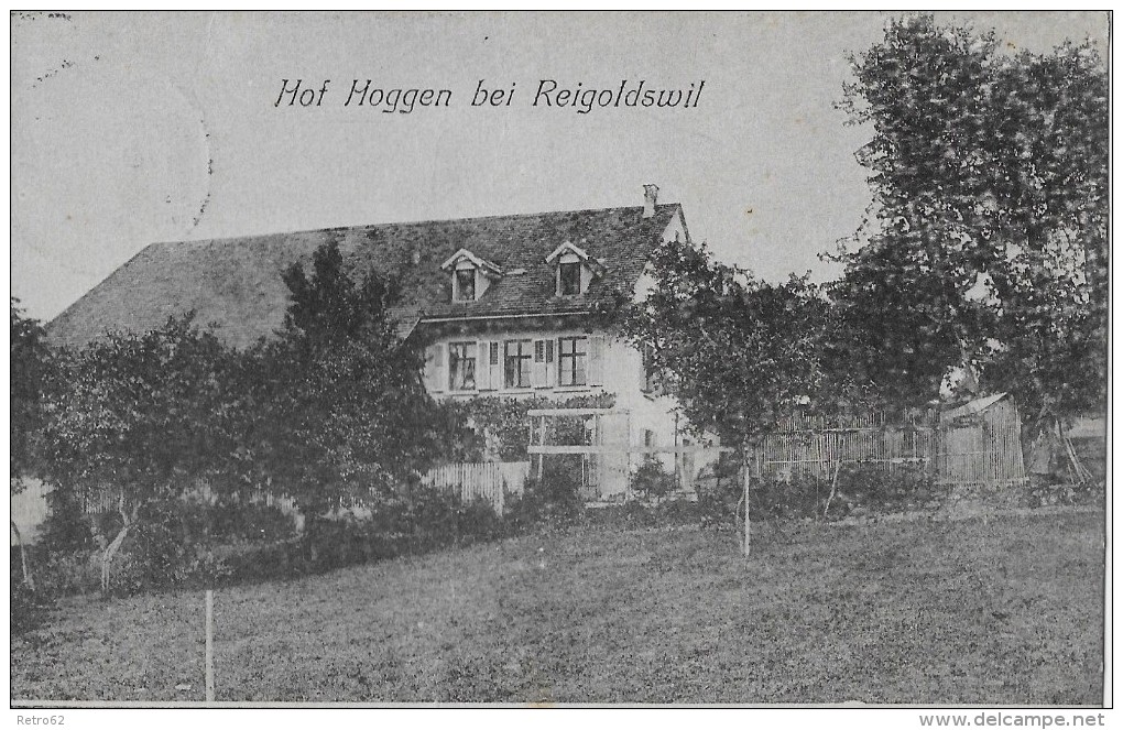 REIGOLDSWIL &#8594; Ansicht Vom Hof Hoggen Anno 1919 - Reigoldswil