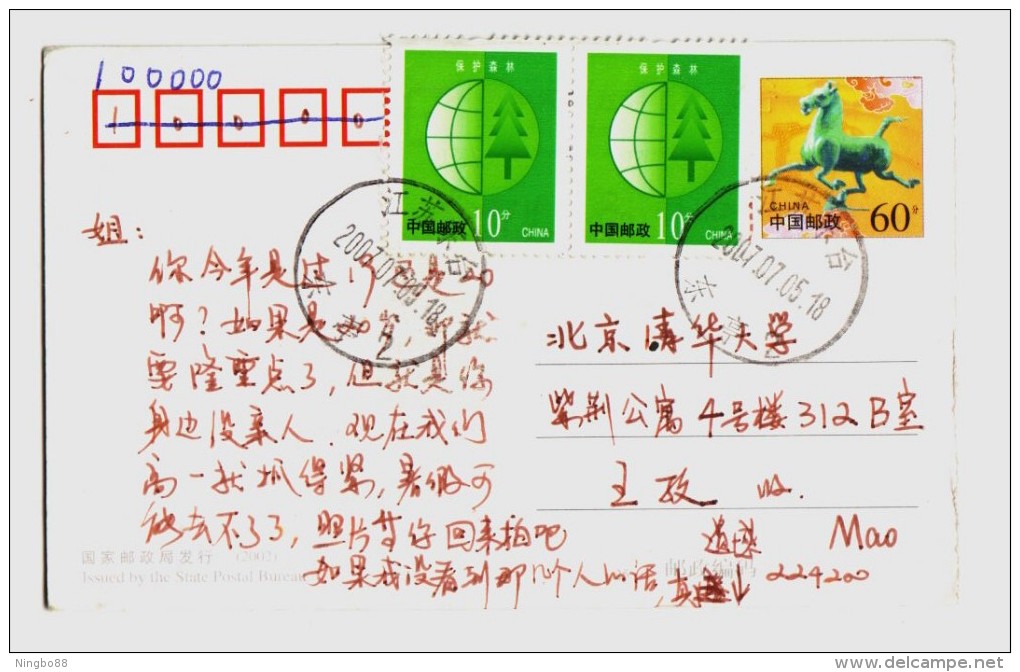 Giant Leaf Plant,CN 02 Banna National Nature Reserve Primitive Tropical Rainforest Admission Ticket Pre-stamped Card - Toxic Plants