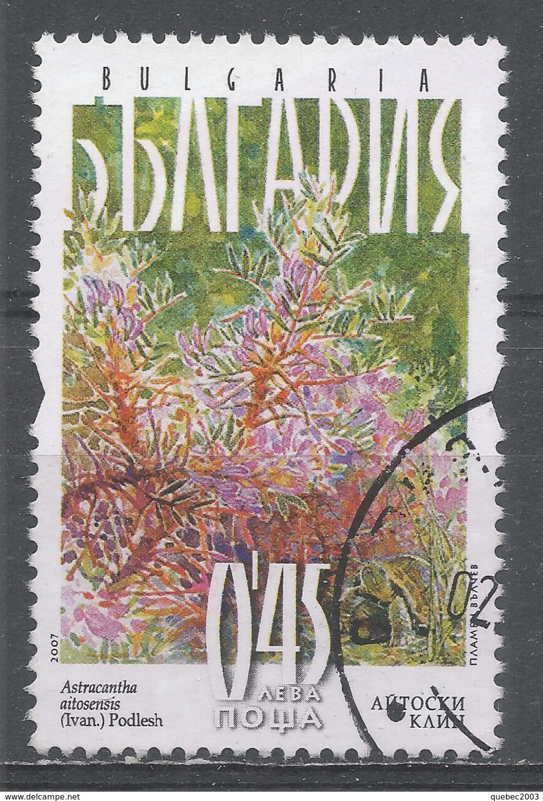 Bulgaria 2007. Scott #4446 (U) Flower, Astracantha Aitosensis - Used Stamps