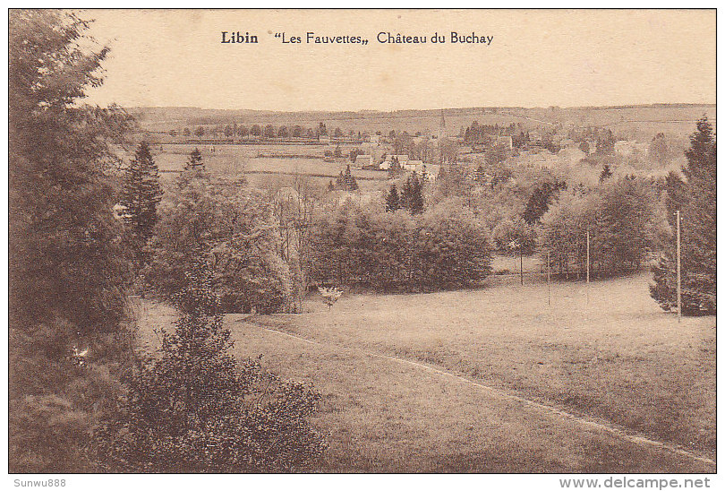 Libin - Les Fauvettes, Château Du Buchay (Edition Belge) - Libin