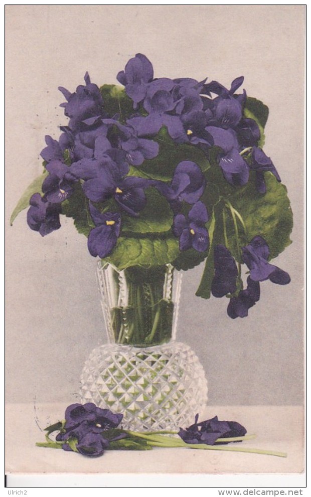 AK Vase Mit Veilchen - 1909 (23676) - Blumen