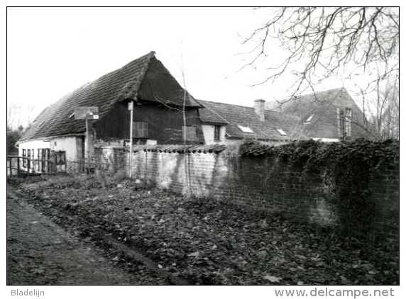 ERPE - Erpe-Mere (O.Vl.) - Molen/moulin - Historische Opname (1992) Van De Cottemmolen Vóór De Restauratie - Erpe-Mere