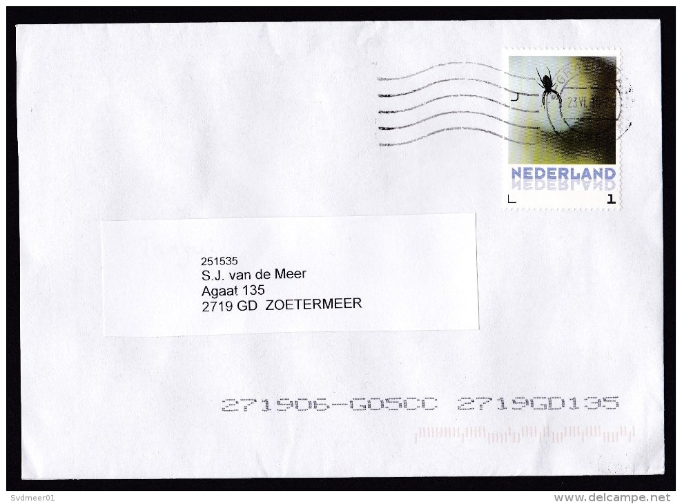 Netherlands: Cover, 2016, 1 Stamp, Spider, Animal (traces Of Use) - Storia Postale