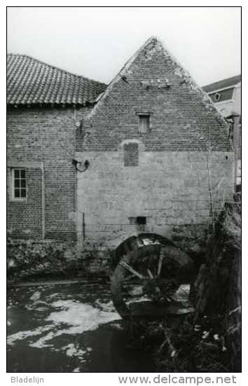 ERPE - Erpe-Mere (O.Vl.) - Molen/moulin - Van Der Biestmolen, Nog In Het Bezit Van Zijn Metalen Bovenslagrad. (1993) - Erpe-Mere