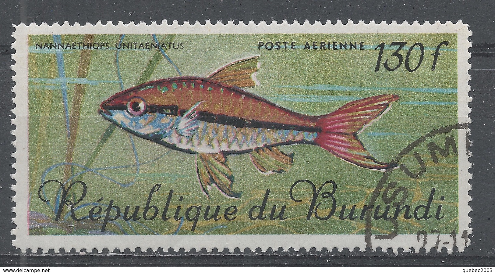 Burundi 1967. Scott #C54 (CTO) Tropical Fish - Oblitérés