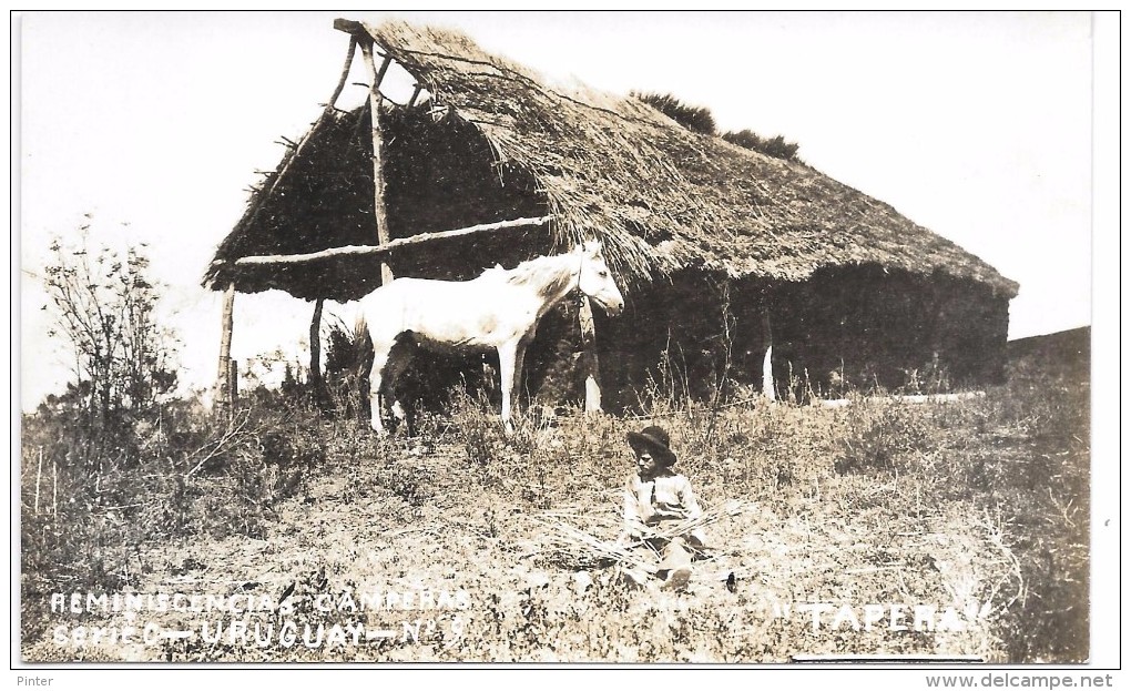 URUGUAY - REMINISCENCIAS CAMPERAS - Série C N° 9 - CARTE PHOTO - Uruguay