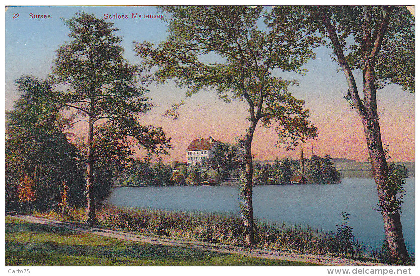 Suisse - Sursee - Schloss Mauensee - Postmarked Oberkirch 1955 - Sursee