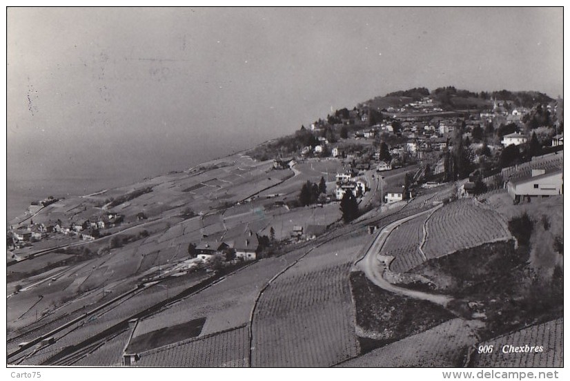 Suisse - Chexbres - Panorama 1966 - Chexbres