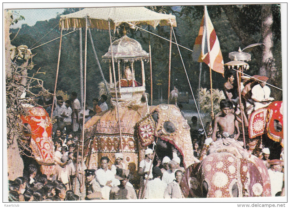 Kandy Perahera - Colourful Procession Held Annually In July/august - OLIFANT / ELEPHANT -  (Sri Lanka) - Sri Lanka (Ceylon)