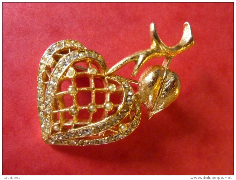 Broche Femme  ( Envoi Offert Pour La France ) - Brochen