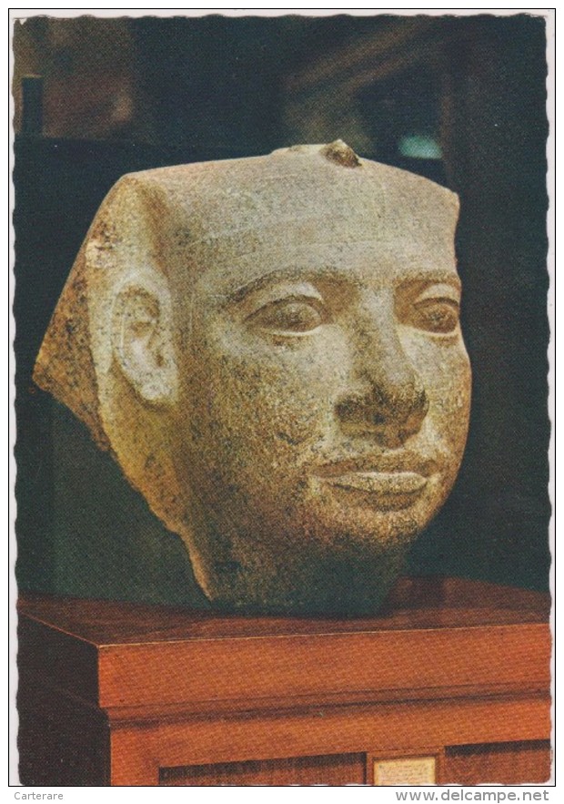 AFRIQUE,AFRICA,AFRIKA,égypte,EGYPT,cairo,caire,musée,museum,ROI USERKAF,KING - Kairo