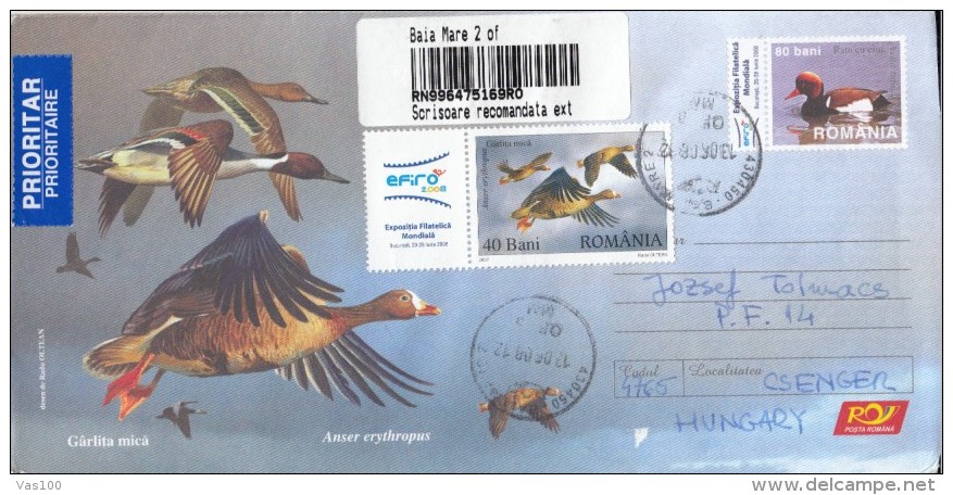 BIRDS, LESSER WHITE FRONTED GOOSE, REGISTERED COVER STATIONERY, ENTIER POSTAL, 2008, ROMANIA - Ganzen