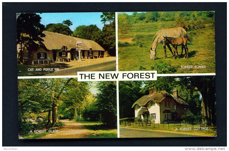 ENGLAND  -  The New Forest  Multi View  Used Postcard - Other & Unclassified