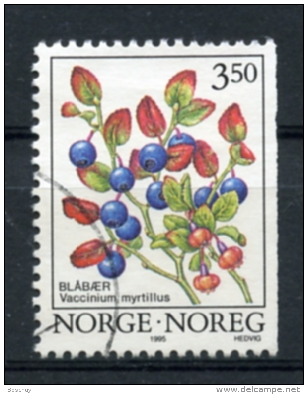 Norvege, Norway, Norge, 1995, Blossoms, Berries, Used, Michel 1175 - Oblitérés