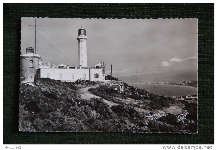 CAP FALCON - La Phare - Oran