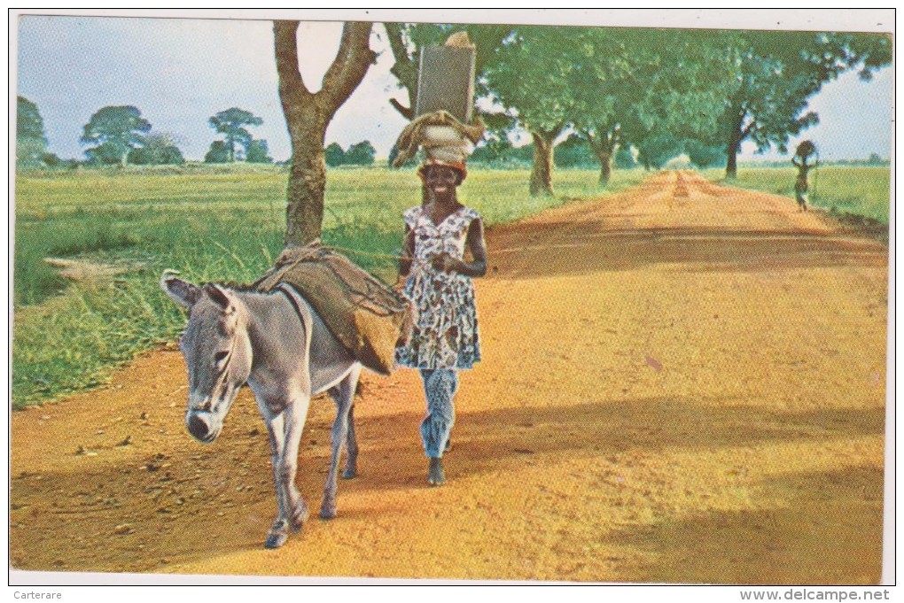 AFRIQUE,Haute Volta,colonie,burkina Faso,femme Heureuse,paysane,ane - Burkina Faso