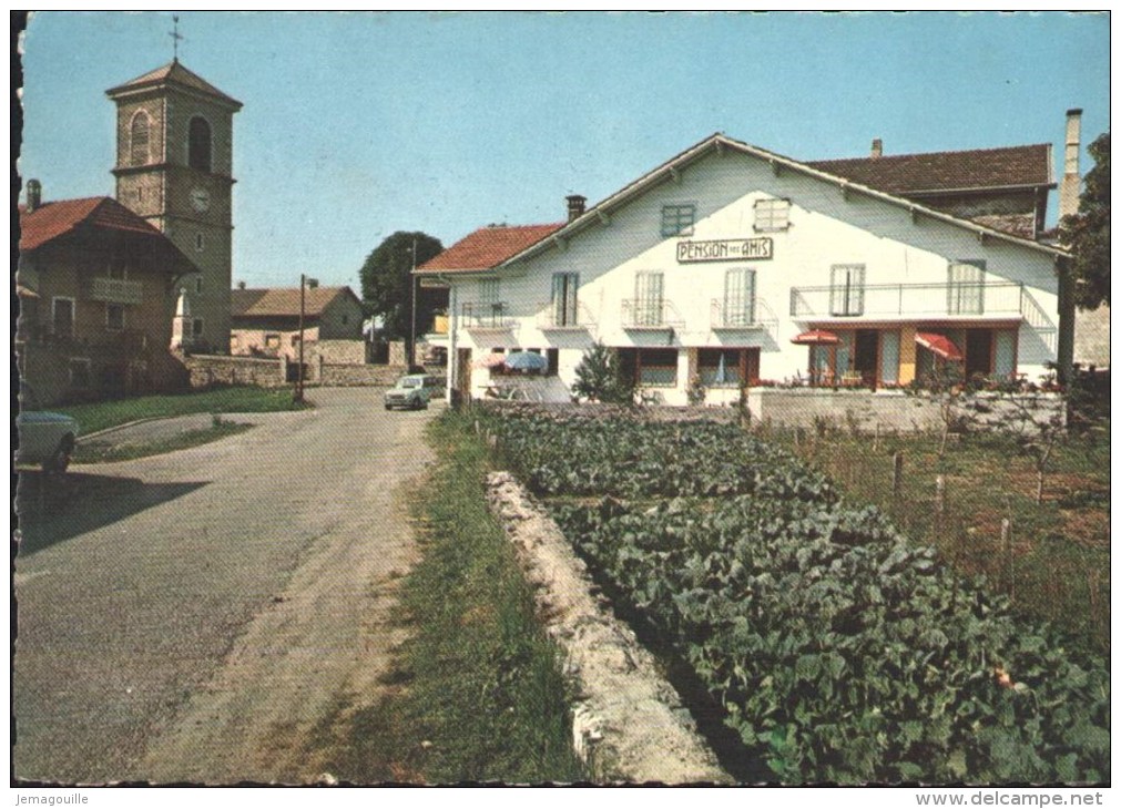 SAINT-PAUL-EN-CHABLAIS 74 - Hôtel Des Amis - W-5 - Autres & Non Classés