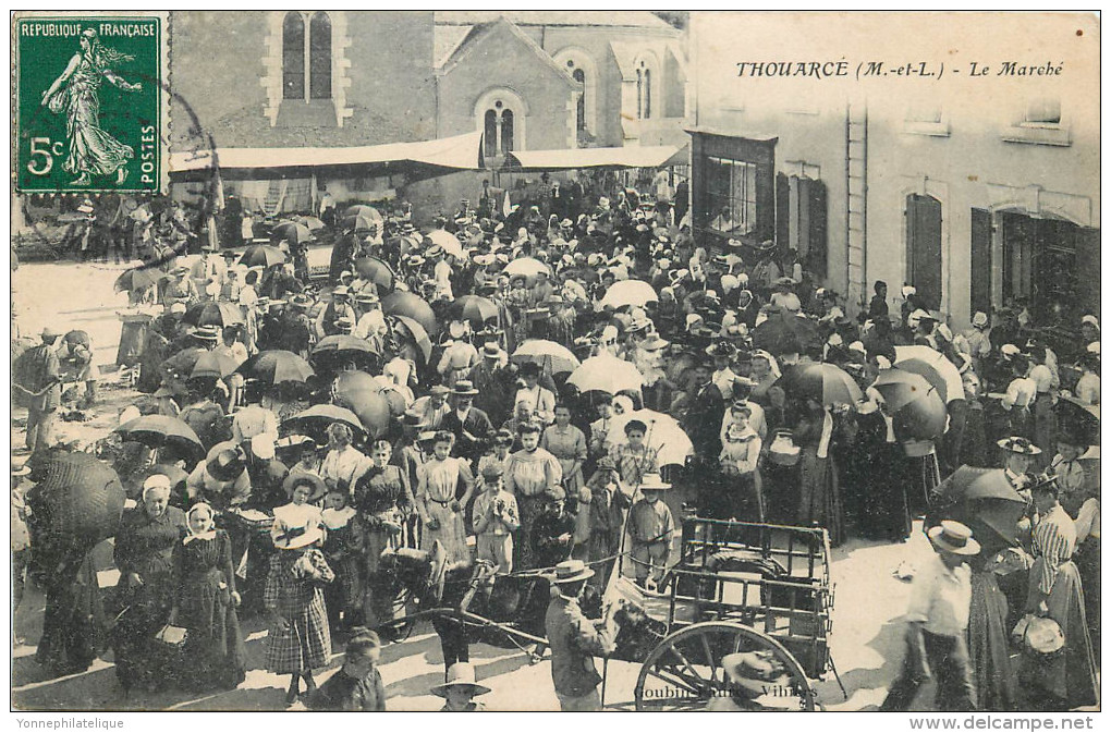 49 - MAINE Et LOIRE - Thouarcé - Marché - Thouarce