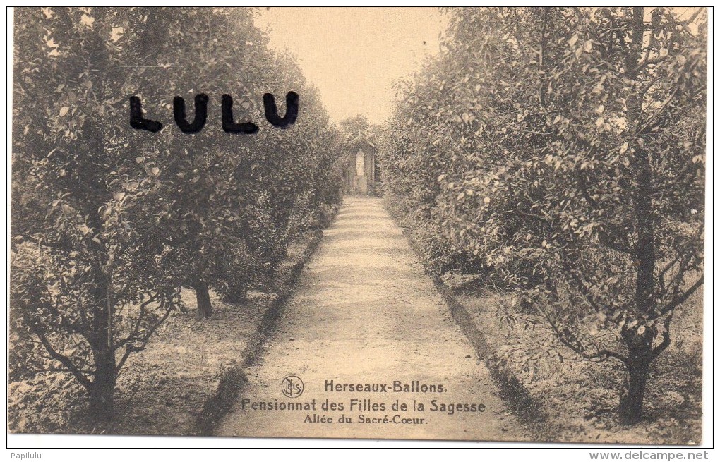 BELGIQUE : Herseaux-Ballons , Pensionnat Des Filles De La Sagesse , Allée Du Sacré Coeur - Moeskroen